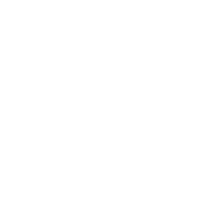 inca Logo Transparent White - Insight Platforms