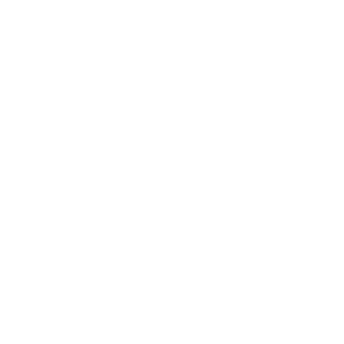 Insight Platforms Academy Logo White Transparent - Insight Platforms