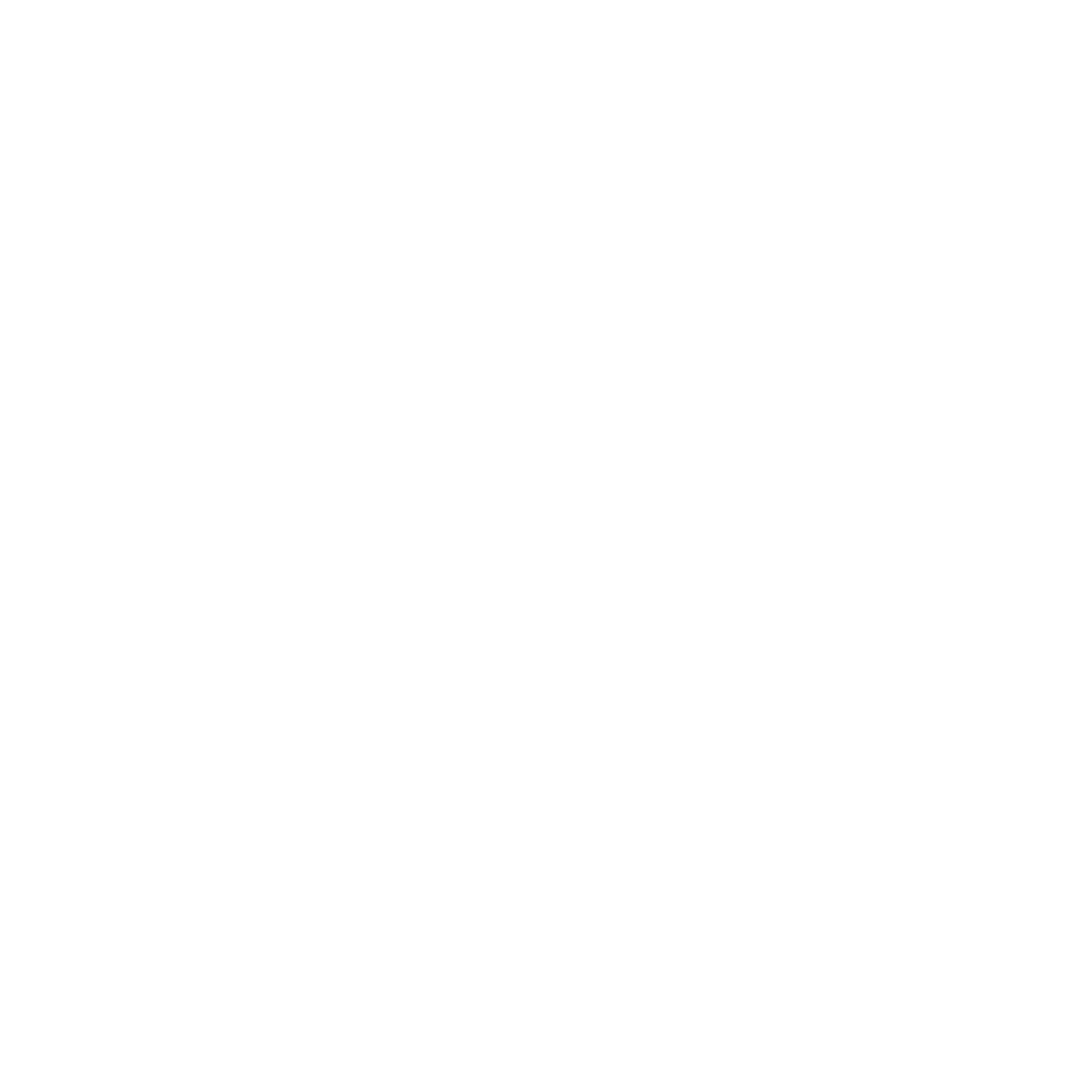 White Outline - Insight Platforms Logo